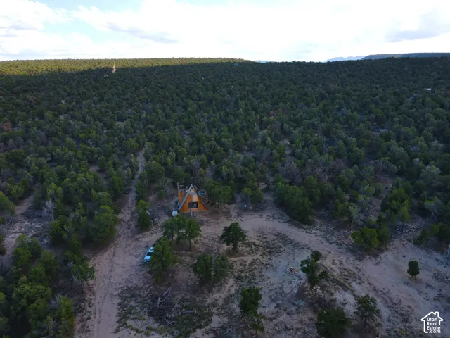A-frame structure with a peaked roof, surrounded by extensive natural foliage