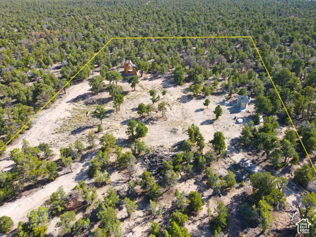 Expansive property featuring dense tree coverage, a distinctive A-frame structure, and an additional smaller structure