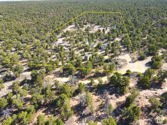 Expansive acreage featuring abundant mature trees