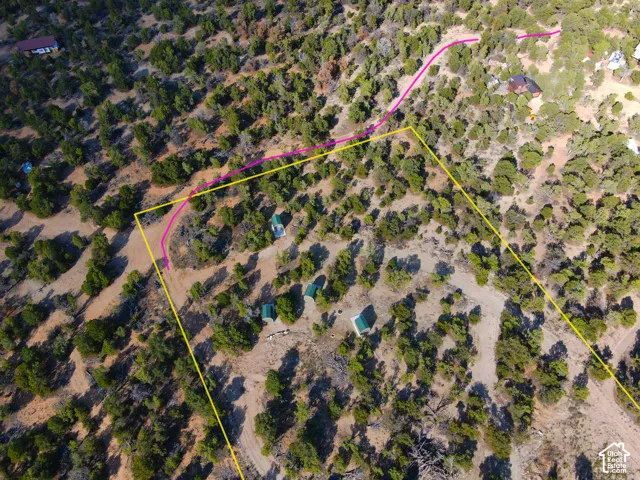 Expansive undeveloped land featuring natural terrain and varied plant life