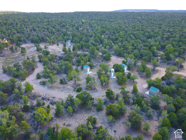 Expansive natural landscape with numerous mature trees, multiple small outbuildings, and visible unpaved paths