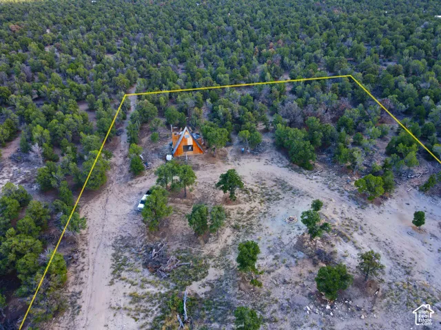 A-frame dwelling with an extensive natural landscape, surrounded by mature trees