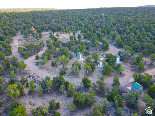 Expansive treed landscape with multiple small structures and a larger A-frame building