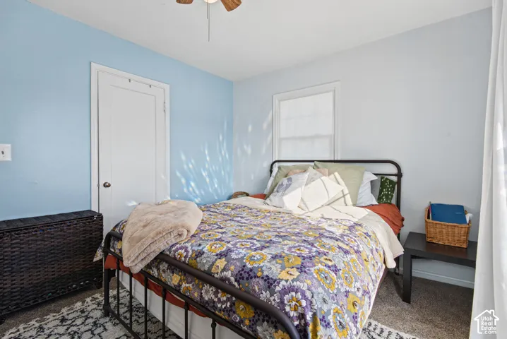 Comfortable bedroom featuring soft blue accent walls, a metal bed frame with decorative pillows, carpeted flooring, and dual closets with white six-panel doors