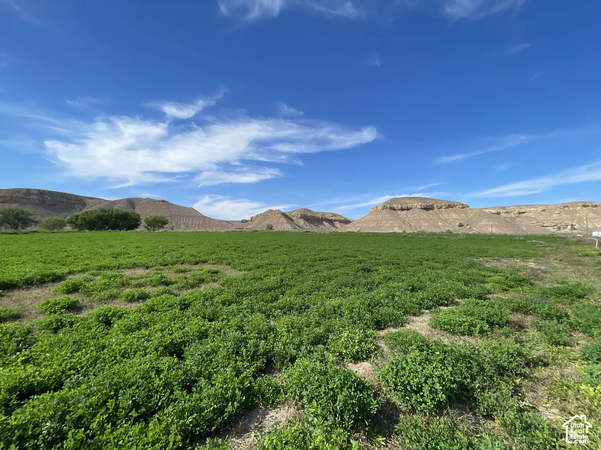 Hay field and breathtaking views