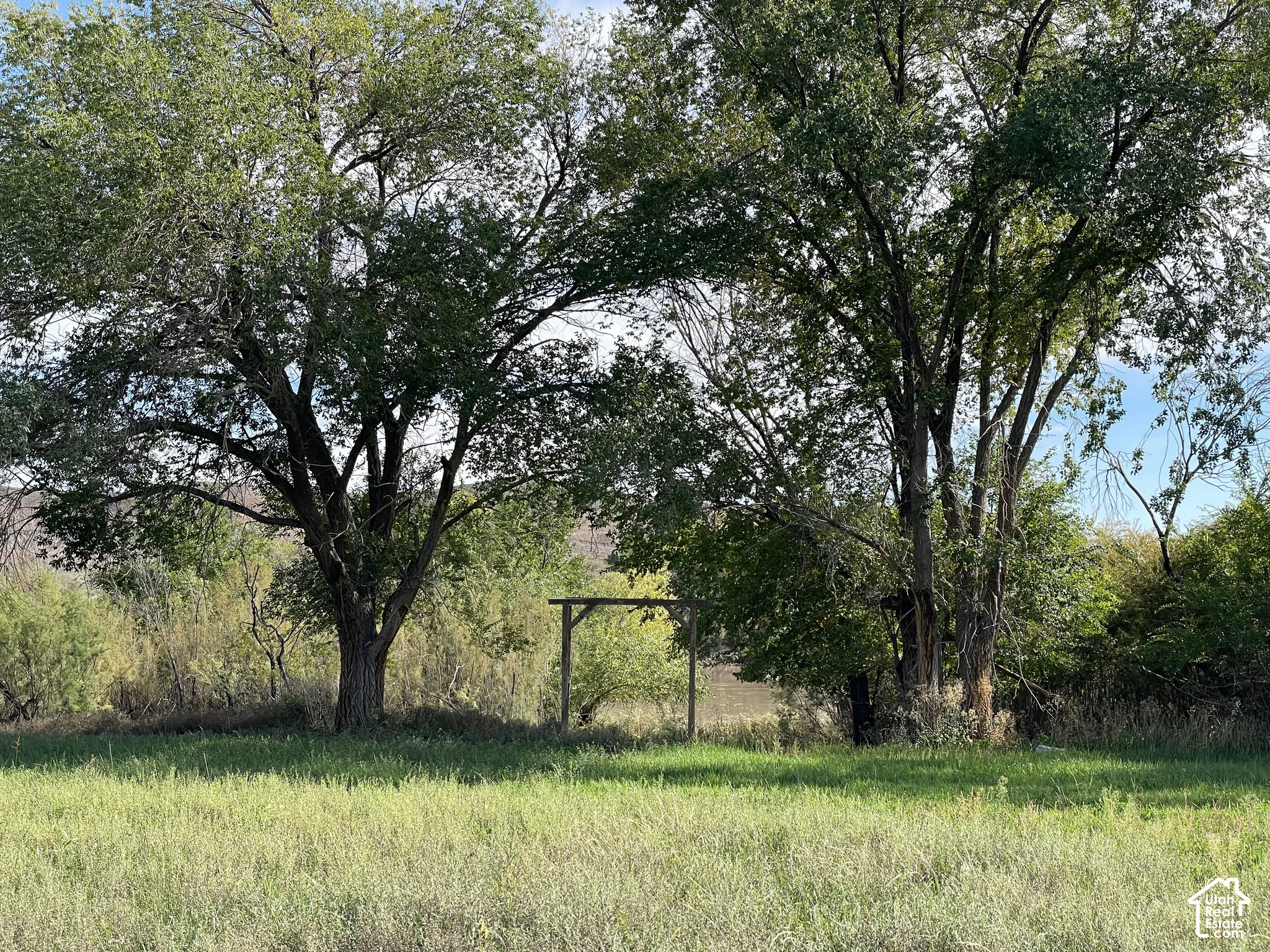 Expansive green space with mature trees and natural vegetation