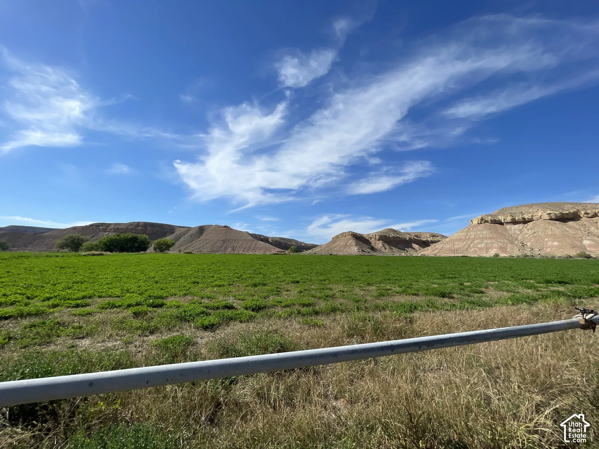 Hay field