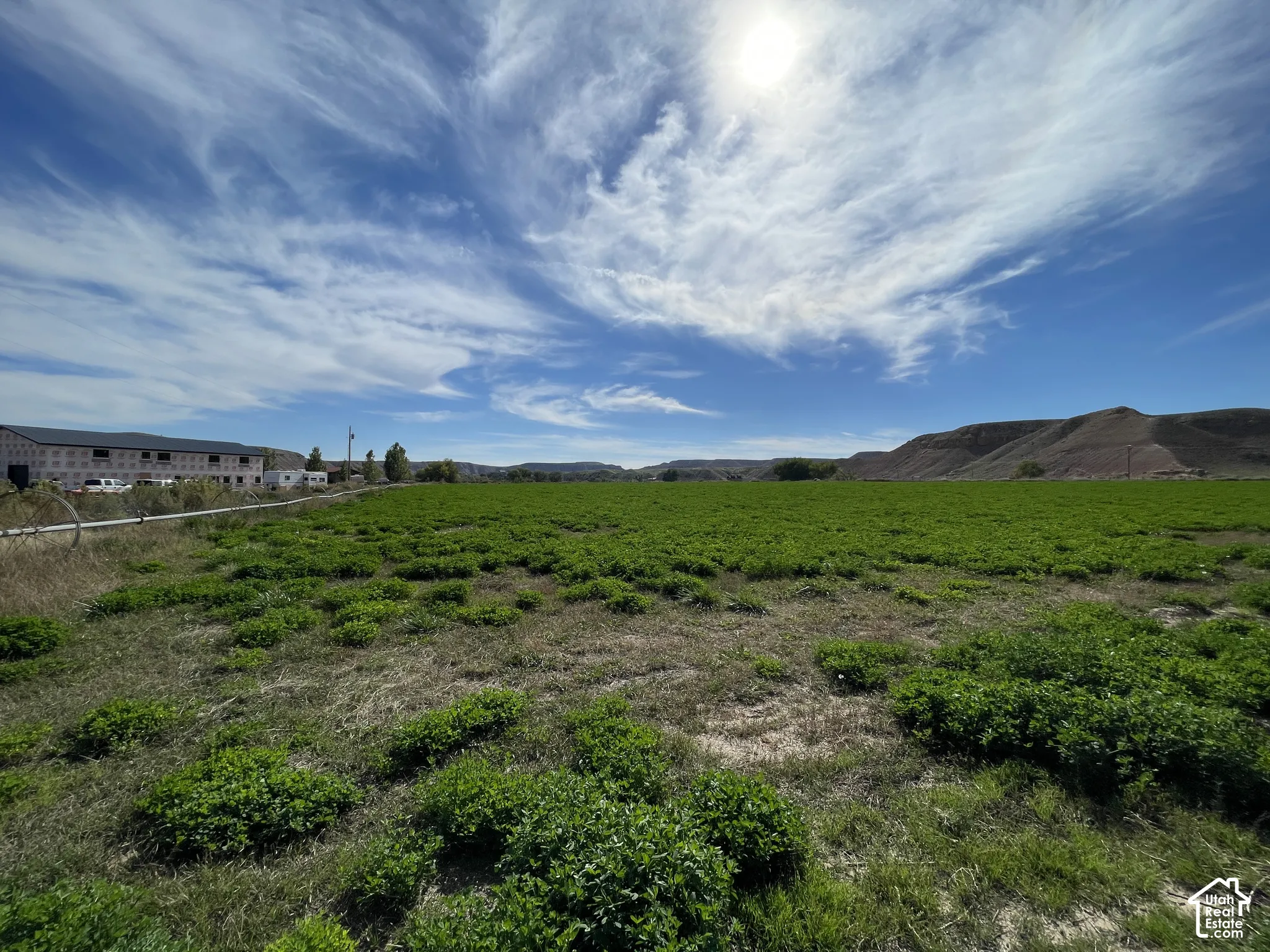 Expansive green field with distant hills under a vast sky