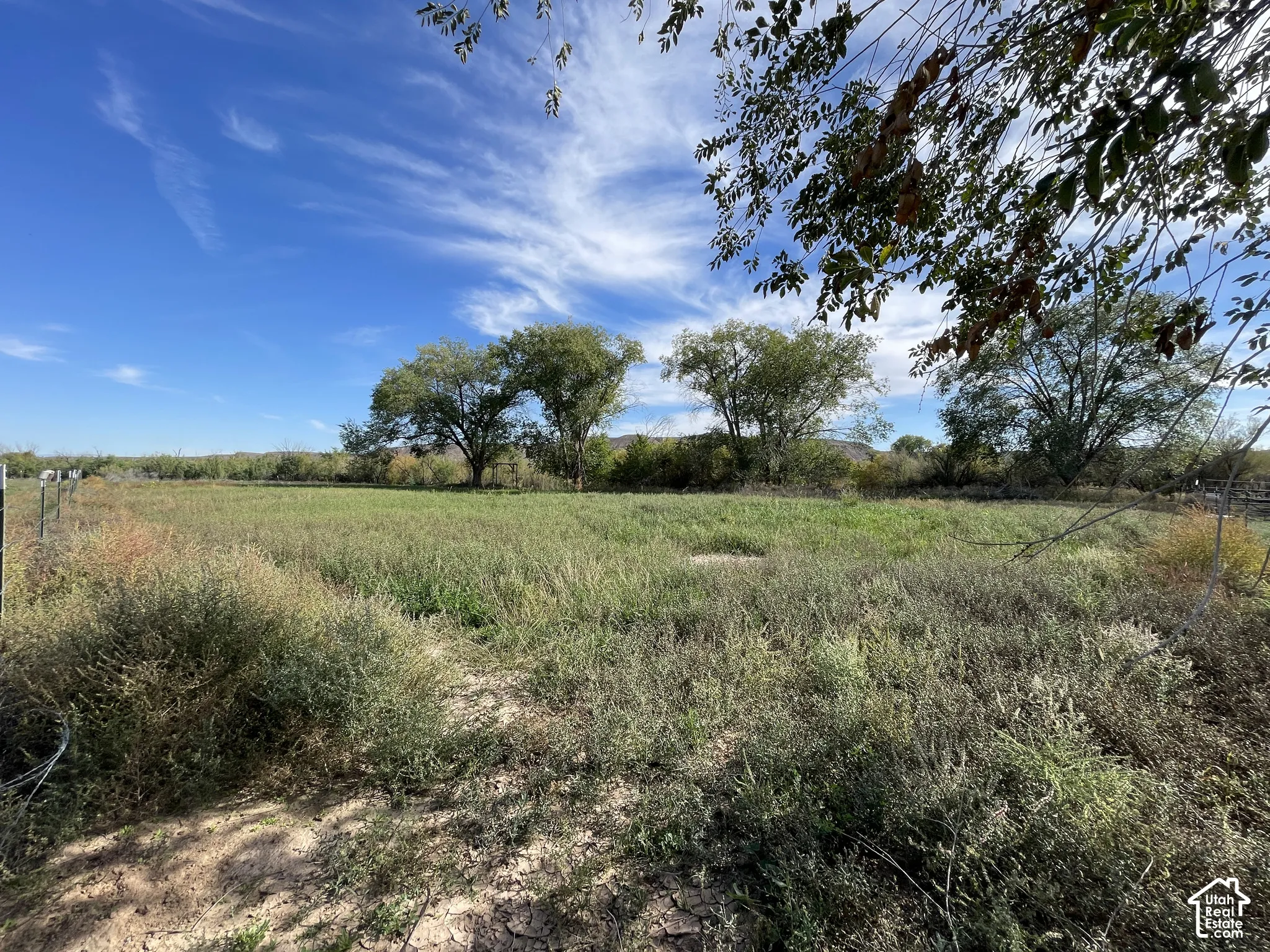 View of grassy area bordering the river