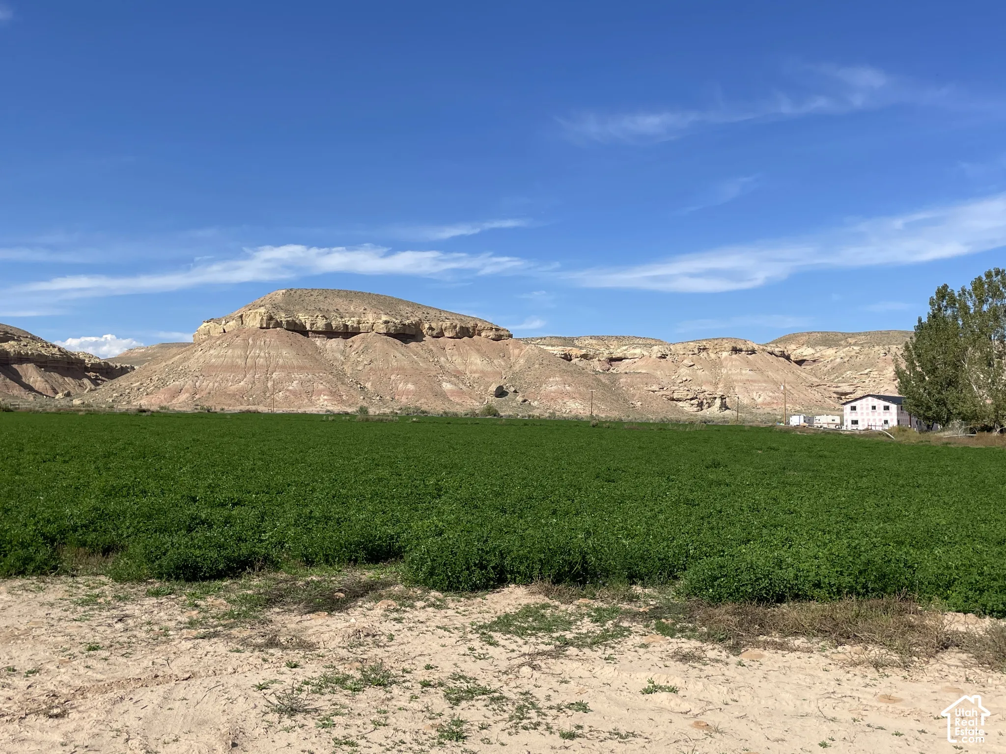View from back 5 acres