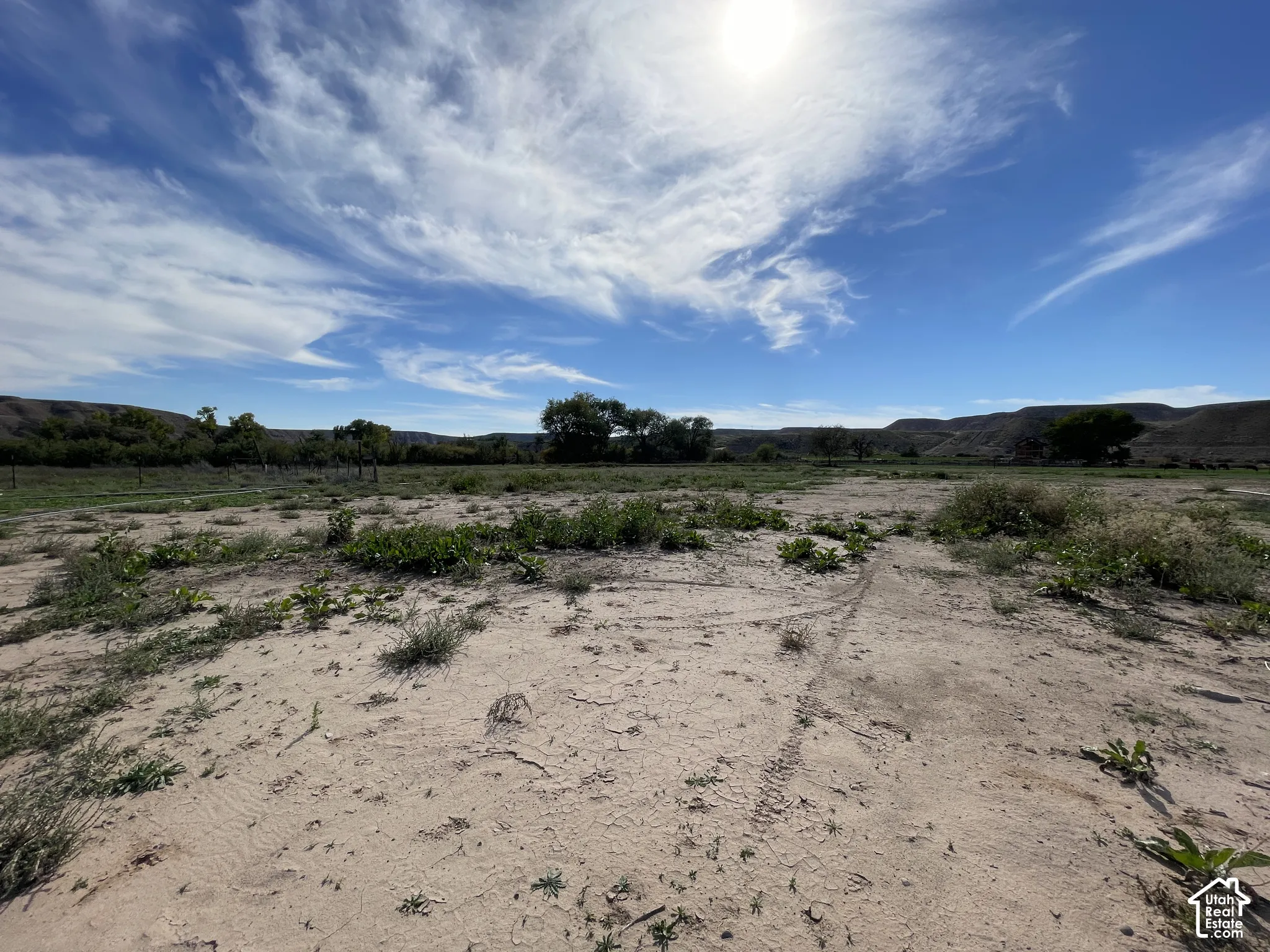 Back 5 acres