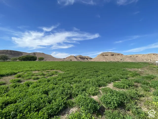 Hay field and breathtaking views