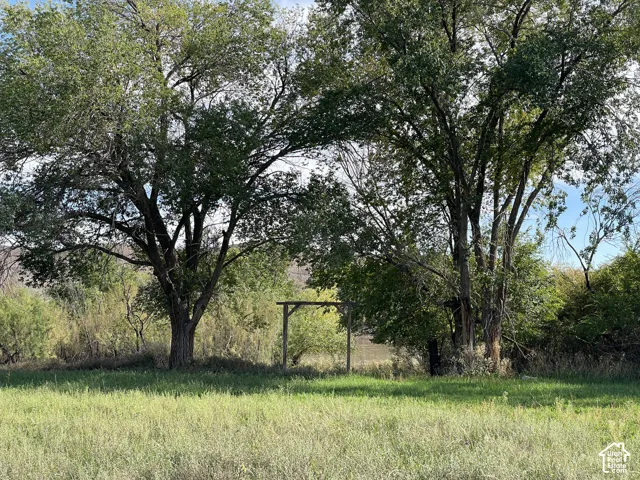 Expansive green space with mature trees and natural vegetation