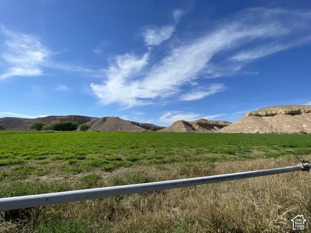 Hay field