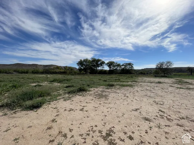 View from back 5 acres