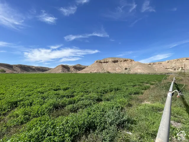 7 acres is alfalfa