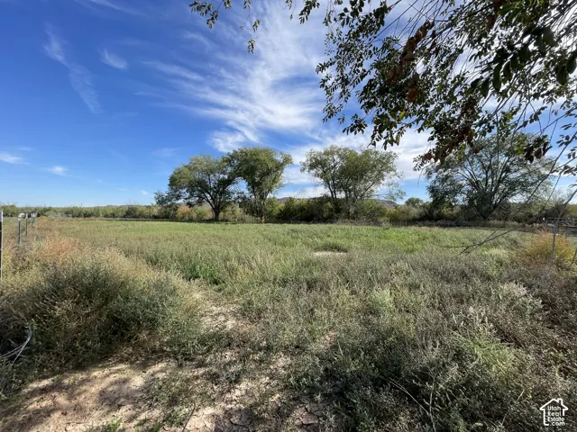 View of grassy area bordering the river