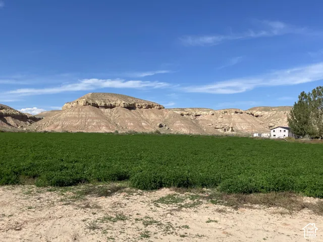 View from back 5 acres