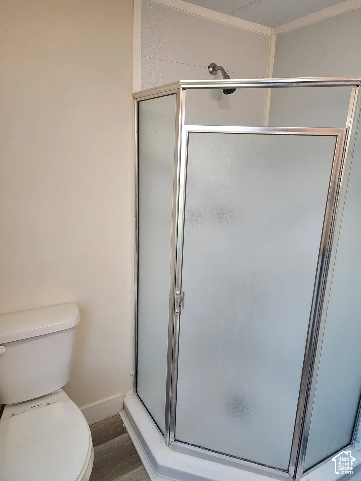 Corner shower enclosure with frosted glass panels and chrome-finish framing, accompanied by a white toilet