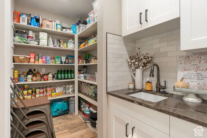 Walk-in pantry featuring extensive built-in shelving, wood-finish flooring, white cabinetry, a utility sink, and subway tile backsplash