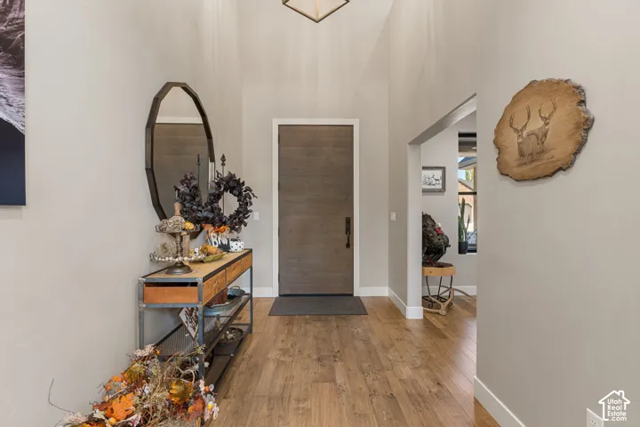 Wood-finish flooring throughout, featuring a tall entryway with a single-panel door