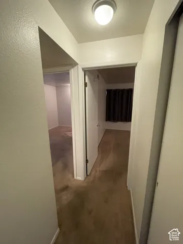 Recessed ceiling light fixture, neutral wall finishes, and carpeted flooring
