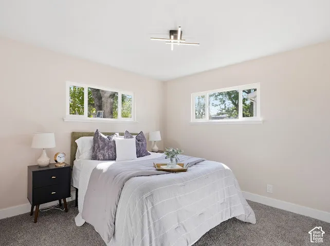 Neutral interior walls, wall-to-wall carpeting, modern geometric flush-mount lighting, and dual windows providing natural light