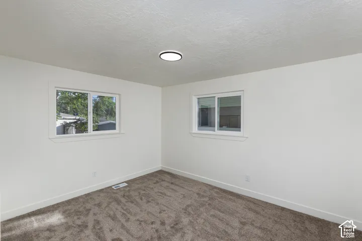 Neutral wall paint, plush carpeting, two windows with white trim, and a ceiling-mounted light fixture
