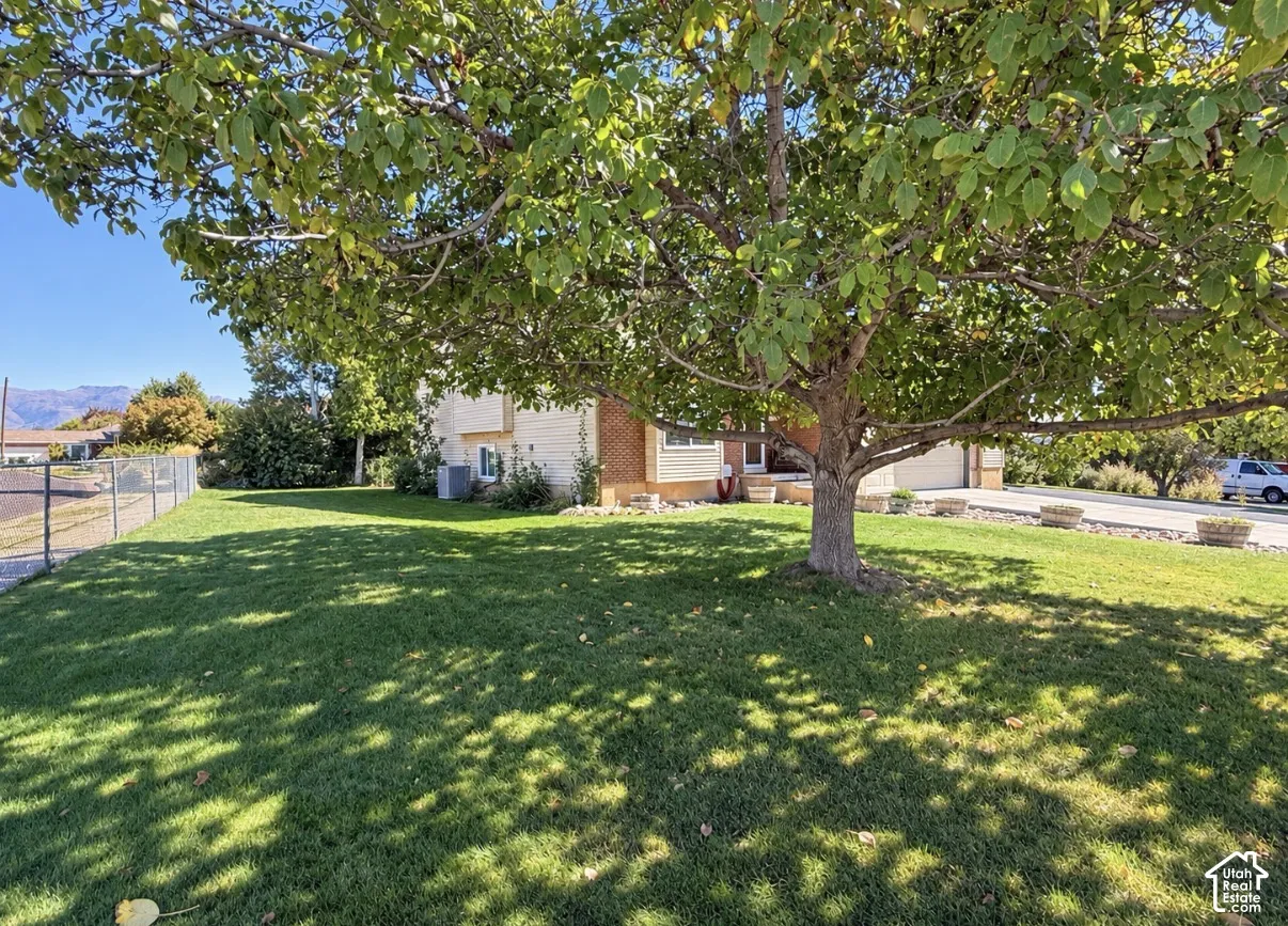 Expansive lawn with mature shade tree, chain link fencing, and a paved driveway