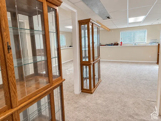 Recessed lighting, wood-finish display cabinets with glass shelves, wall-to-wall carpeting, window with horizontal blinds, and a drop ceiling