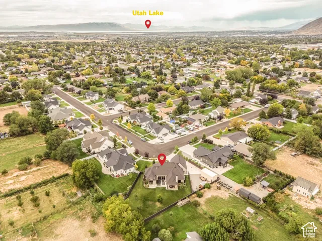 Aerial perspective showcasing a residential neighborhood with varied architectural styles and mature landscaping