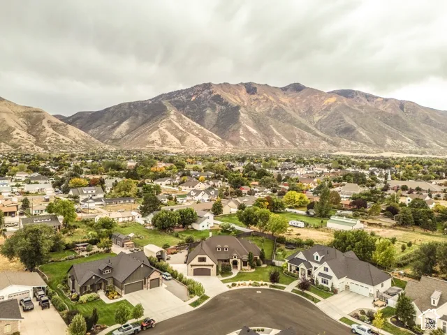 Mountain backdrop surrounding a residential area with various homes and mature landscaping