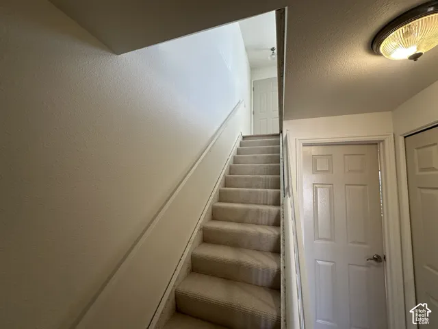 Carpeted staircase with white handrail and textured walls