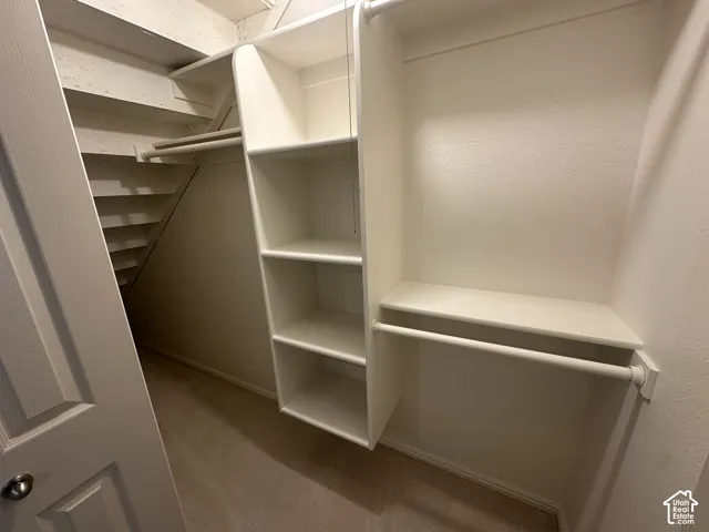 Built-in shelving, hanging rods, and carpeted flooring