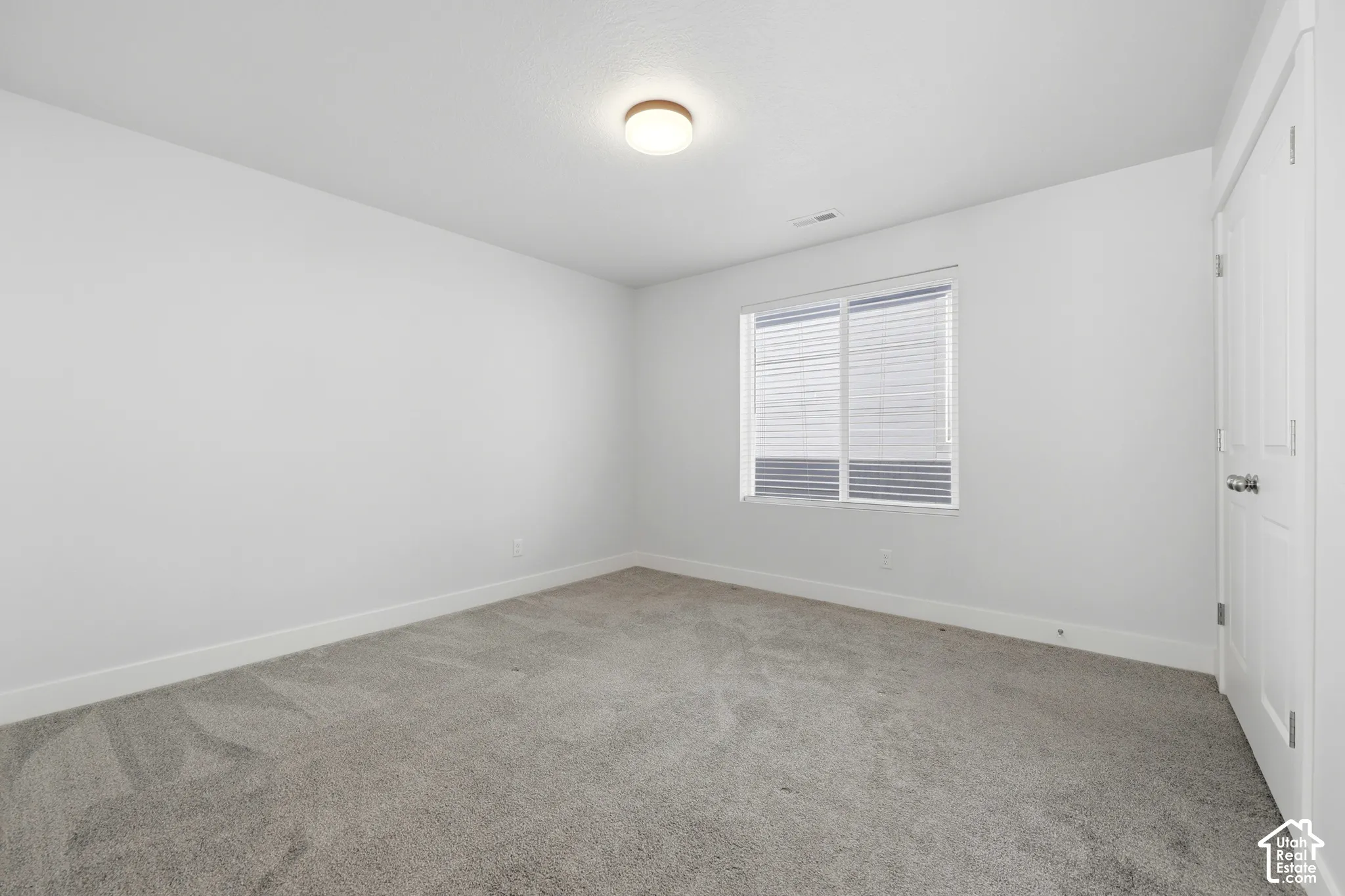 Neutral wall color with plush gray carpet