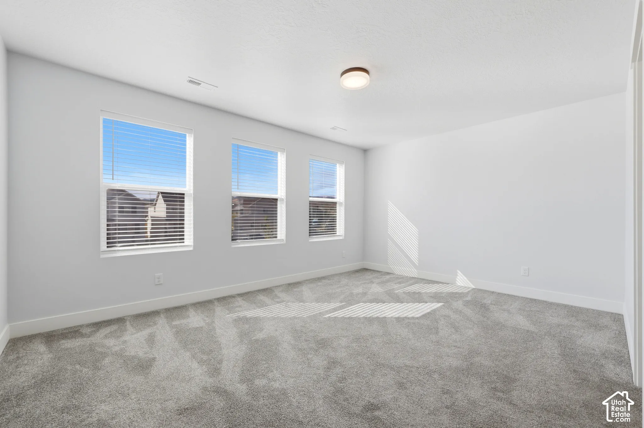 Neutral wall paint, multiple windows, gray carpet flooring, contemporary flush-mount ceiling light