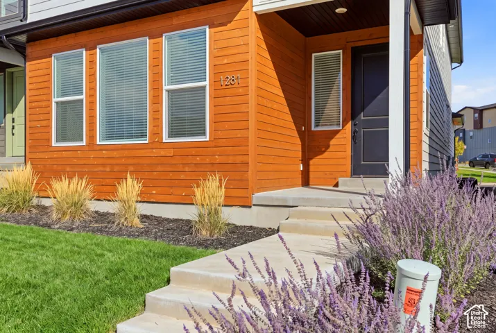 Modern exterior featuring wood-finish siding, a dark entry door, and concrete steps