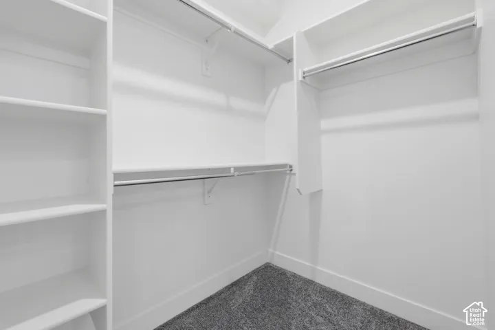 Walk-in closet with built-in shelving, multiple hanging rods, and gray carpet