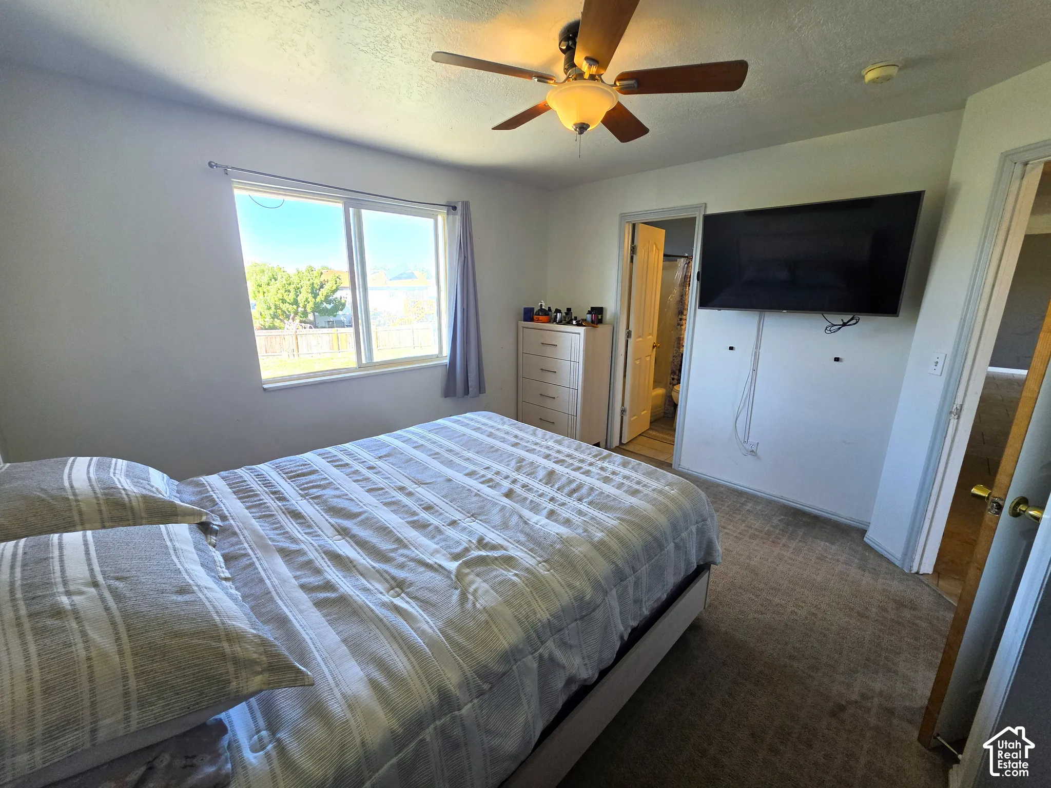 Dual-pane window, ceiling fan with integrated lighting, wall-mounted television bracket, and light-toned carpeting