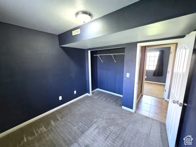 Plush carpeted flooring, built-in closet with shelving, white trim, and overhead lighting