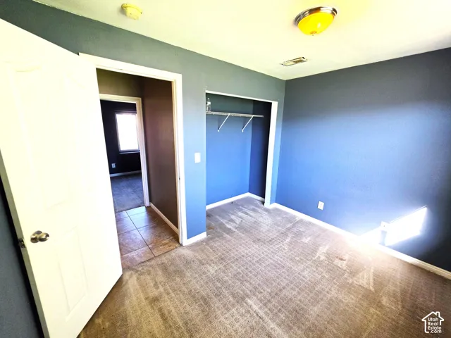 Carpeted room with a built-in closet and a ceiling-mounted light fixture