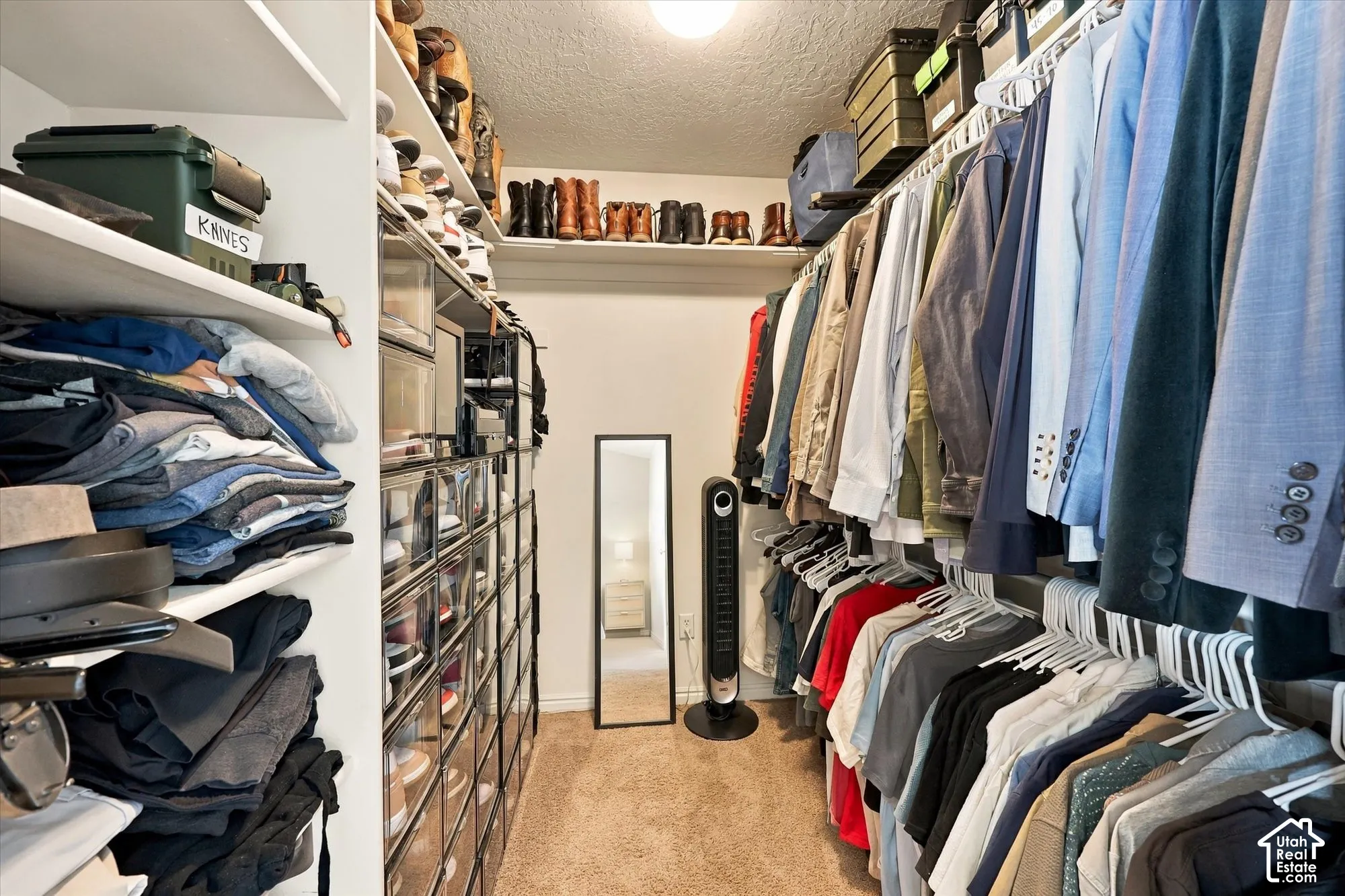 Walk-in closet featuring carpet flooring, built-in shelving, and hanging rods