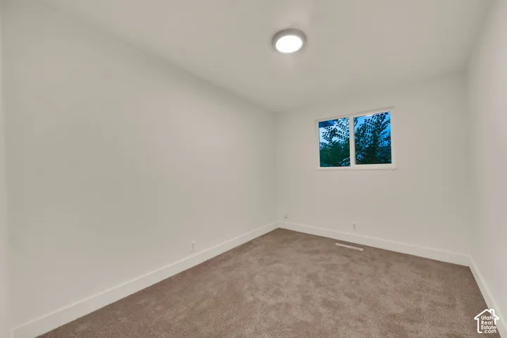 Neutral wall paint, plush carpeting, flush mount ceiling light, and a window with a natural backdrop