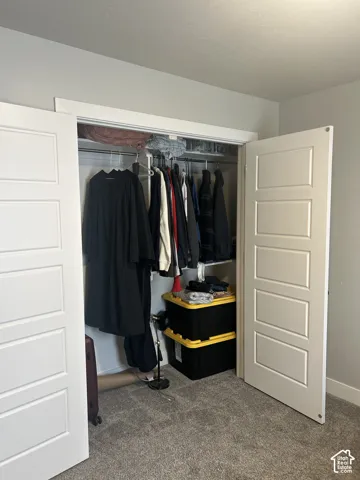 Built-in closet with white paneled bifold doors and a carpeted floor