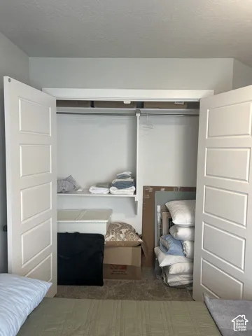 White panel closet doors