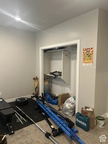 Recessed ceiling light, neutral wall paint, carpeted flooring, built-in closet shelving, white trim