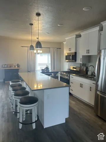 Expansive kitchen island, stainless steel appliances, white cabinetry with dark hardware, wood-finish flooring, and recessed lighting