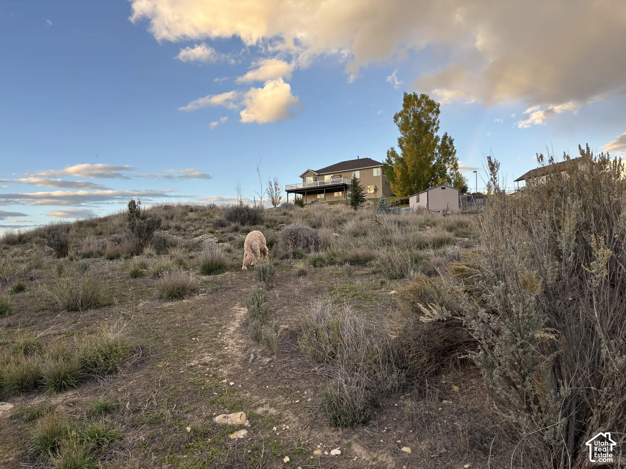 Expansive sloping lot featuring natural terrain, an elevated structure with a rear deck, and mature trees