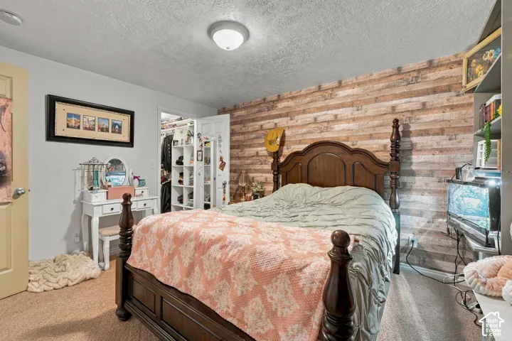 Textured accent wall, neutral carpeting, built-in closet organization, ceiling-mounted light fixture, white interior door
