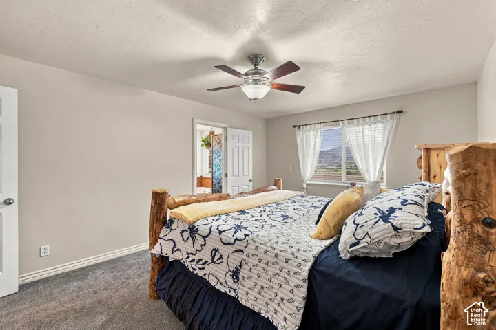 Recessed window with exterior scenery, overhead ceiling fan with integrated lighting, textured carpeting, and double-door entry